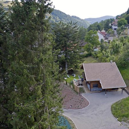 Le Chalet Margaux La Bresse Bagian luar foto